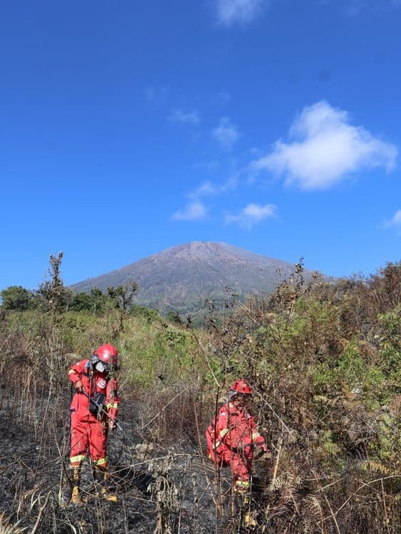 Respons Cepat, Manggala Agni dan Tim Gabungan Padamkan Kebakaran 30 Hektare di TN Gunung Rinjani 958914