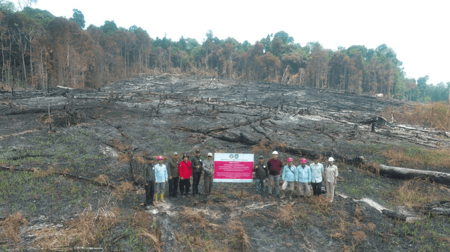 Kemenhut Jatuhkan Sanksi 6 Perusahaan Terkait Karhutla, Hingga Pembekuan Perizinan Berusaha 960868