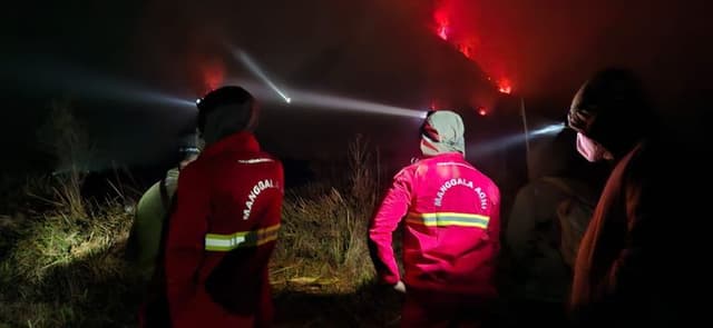 Kemenhut Kerahkan Operasi Terpadu Lindungi Kawasan Konservasi 959757