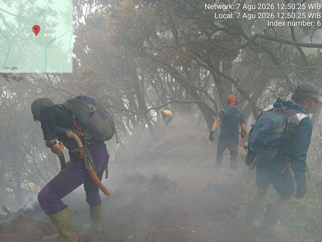 Kebakaran Kawah Wadon Terus Ditangani, Keselamatan Pendaki TNGGP Dipastikan 938425
