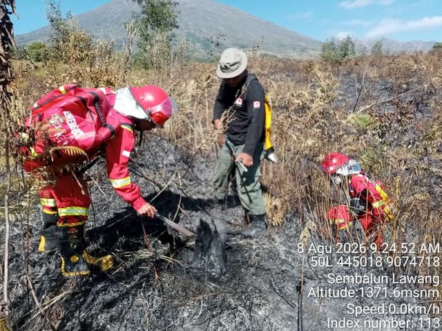 Api Karhutla di Resor Sembalun TN Gunung Rinjani Berhasil Dikendalikan, Kemenhut Lanjutkan Mopping Up 956138