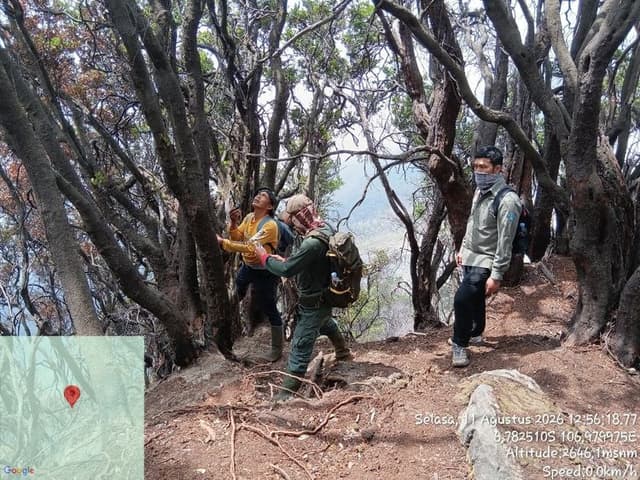 Titik Api Kembali Muncul di Kawah Wadon Gunung Gede, BBTNGGP Kerahkan Petugas Gabungan 958063