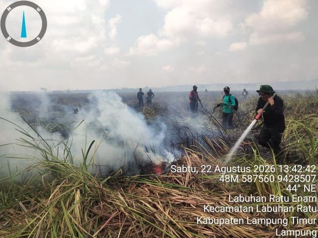 Kebakaran Hutan Terjadi di Wilayah Resort Kuala Penet, TN Way Kambas Bersama Para Pihak Lakukan Pemadaman 960599