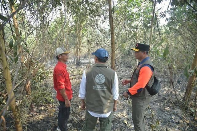 Tinjau Karhutla Kalsel, Menhut Raja Antoni: Api Sudah Tak Terlihat, tapi Gambut Masih Berasap 959784