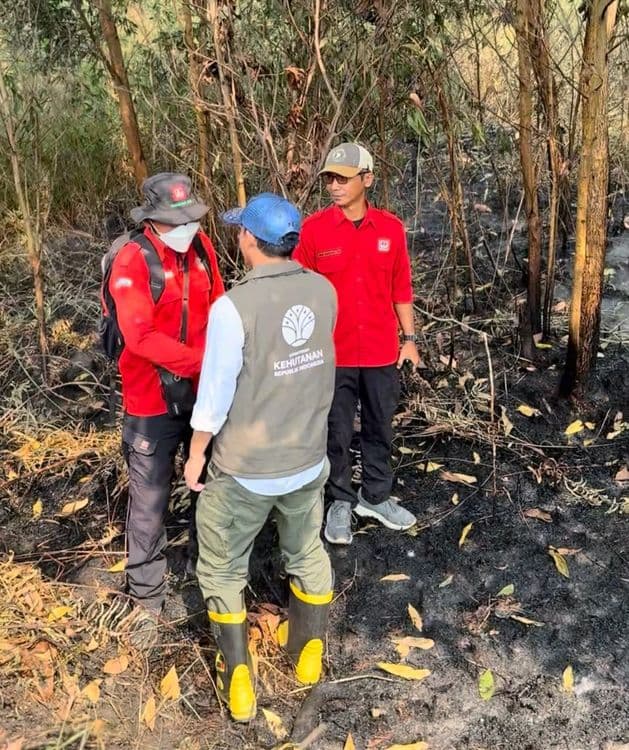 Menhut Raja Antoni Turun ke Lokasi Karhutla Kalsel, Operasi Pemadaman Diperkuat 958713