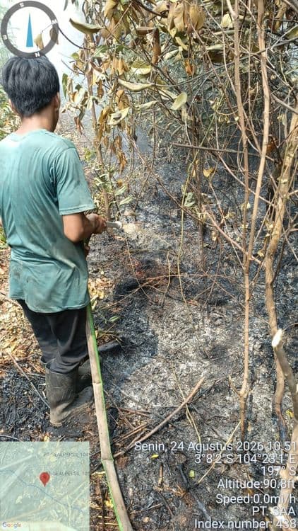 Kemenhut Perkuat Deteksi Dini dan Respons Cepat Pengendalian Karhutla di Sumatera Selatan 959917