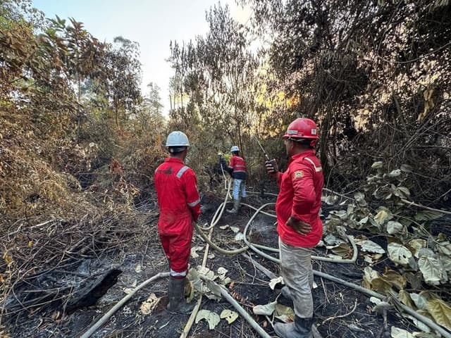 Kementerian Kehutanan Tegaskan PBPH Wajib Lakukan Langkah Ekstra dalam Pengendalian Karhutla di Arealnya 959498