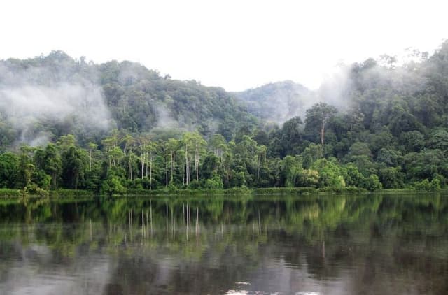Penghijauan Lingkungan 16