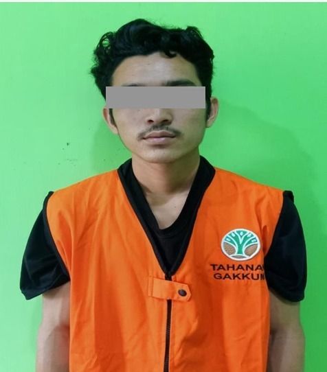 Gakkum Kehutanan Ungkap Pelaku Pembalakan Liar di Habitat Orangutan Gunung Tarak Kalbar