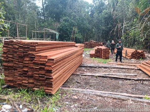 Pantau Kebakaran di Suaka Margasatwa Kerumutan, Kemenhut Ungkap Pembalakan Liar dan Tetapkan Enam Tersangka