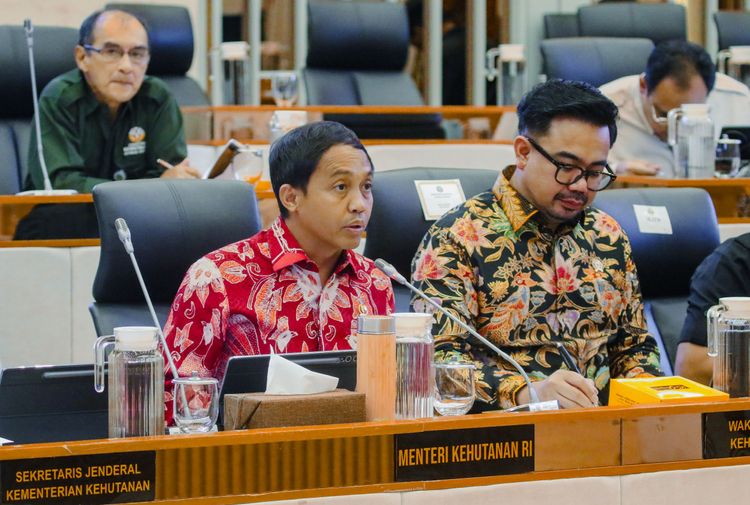 DPR RI Setujui Program dan Anggaran Kemenhut Tahun 2026