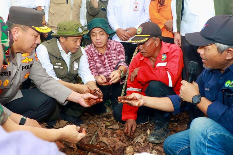 Menhut: BPGMN Segera Terbentuk