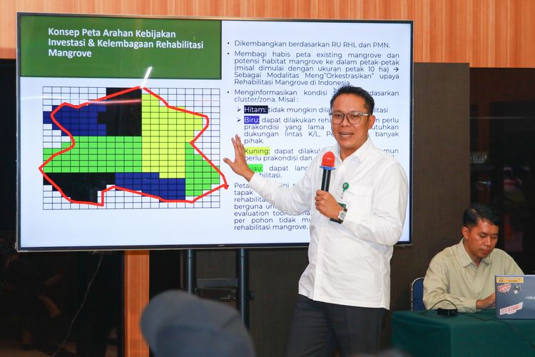 Strategi Rehabilitasi Mangrove Nasional: Arah, Capaian, dan Tantangan