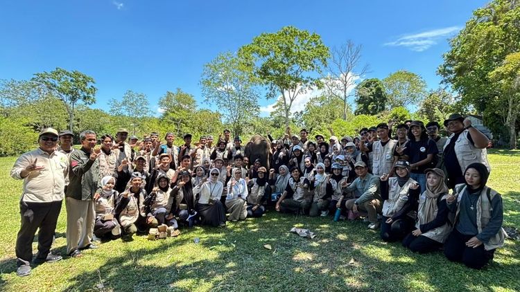 Kemenhut Ajak 60 Genries Kenali Gajah Sumatera, Bergerak untuk Konservasi