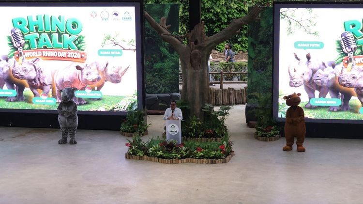 Kado Istimewa Pada Peringatan Badak Sedunia: Dua Induk Badak Bunting di Suaka Rhino Sumatera