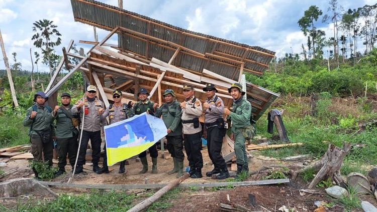 Kementerian Kehutanan Tegaskan Tidak Ada Pembiaran Aktivitas Ilegal di Taman Nasional Tesso Nilo