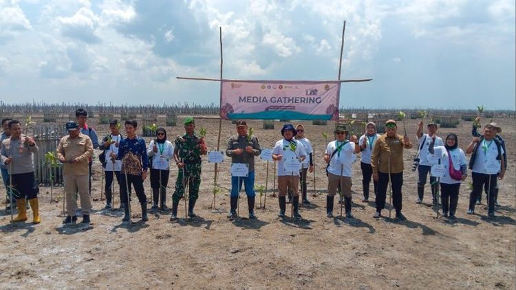 Kemenhut Gencarkan Rehabilitasi Mangrove M4CR di Riau