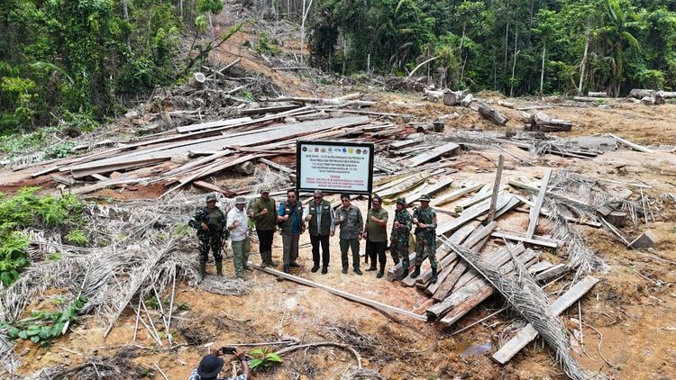 kementerian-kehutanan-moratorium-tata-usaha-kayu-untuk-phat-hentikan-modus-pencucian-kayu-ilegal-kejahatan-illegal-logging