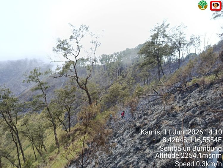 Kemenhut Padamkan Kebakaran Savana Bukit Sempana, 25 Pendaki Berhasil Dievakuasi