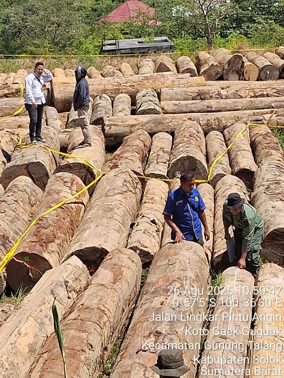 Kemenhut Limpahkan Tersangka Pemanenan Hasil Hutan Tanpa Hak di Sariak Bayang Kepada Kejaksaan Negeri Solok, Sumbar