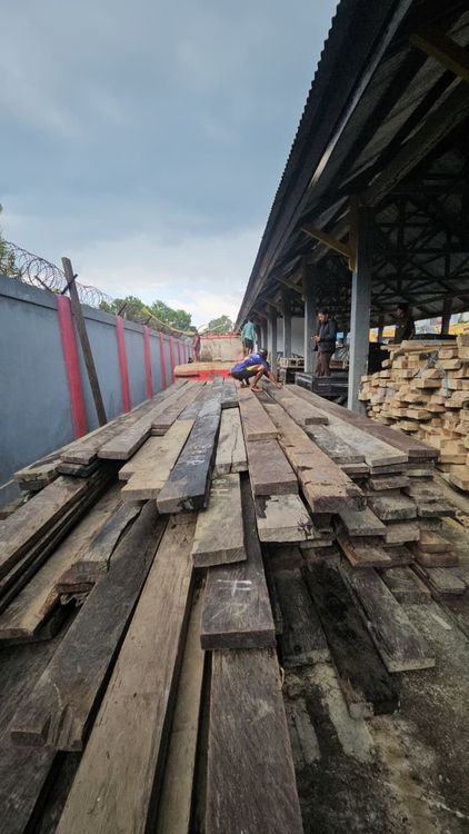 Kasus 702 Batang Kayu Besi Ilegal Buton Utara Siap Disidangkan, Kemenhut Telusuri Rantai Peredarannya