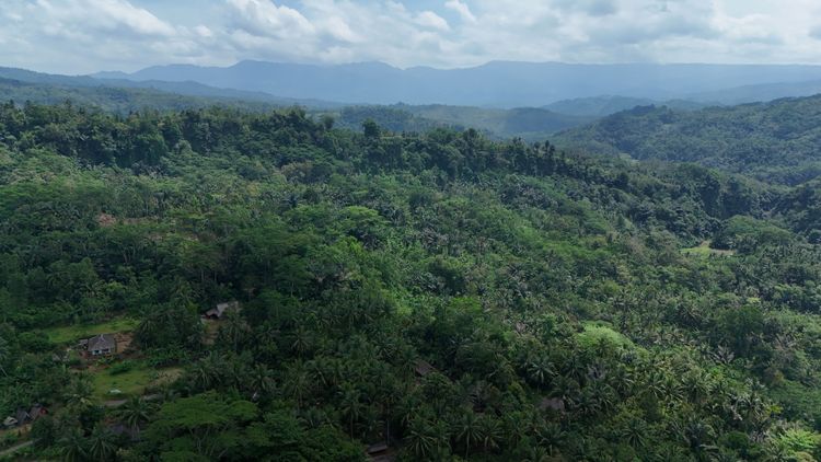 Pertama Kali Dikunjungi Menteri, Hutan Adat Kampung Kuta: Sakral, Lestari, dan Menyejahterakan