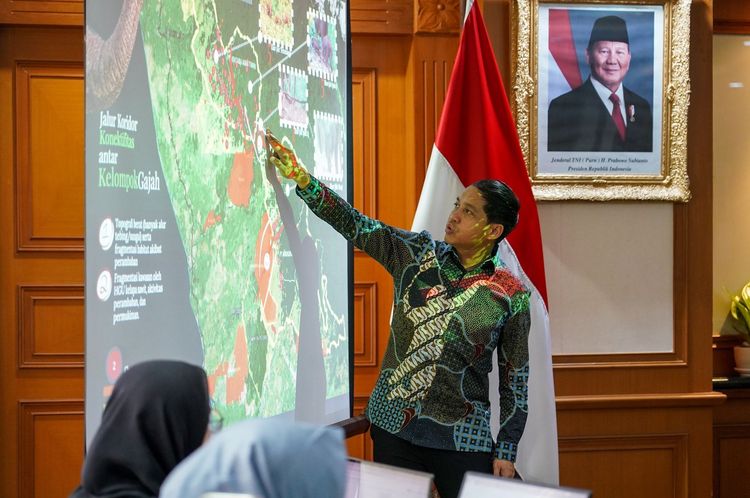  Aksi Prioritas Selamatkan Gajah: Pulihkan Habitat dan Sambungkan Koridor yang Terputus
