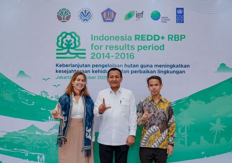 Indonesia Tunjukkan Kepemimpinan Global dalam Implementasi REDD+ dengan Capaian Nyata Penurunan Emisi