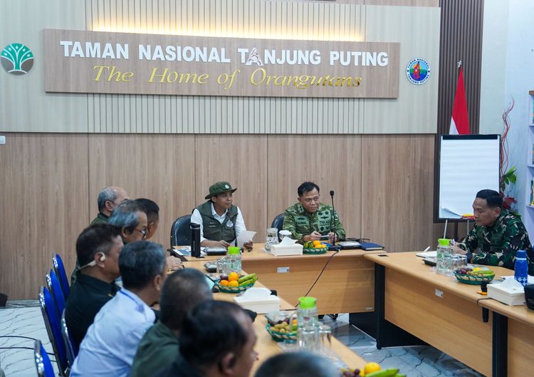 Menhut Perkuat Operasi Darat dan Udara di Tanjung Puting, Fokus Lindungi Zona Inti dari Karhutla