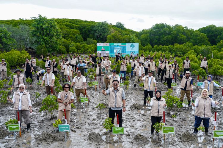 mangrove-festival-2025-indonesia-perkuat-konsolidasi-nasional-rehabilitasi-ekosistem-mangrove