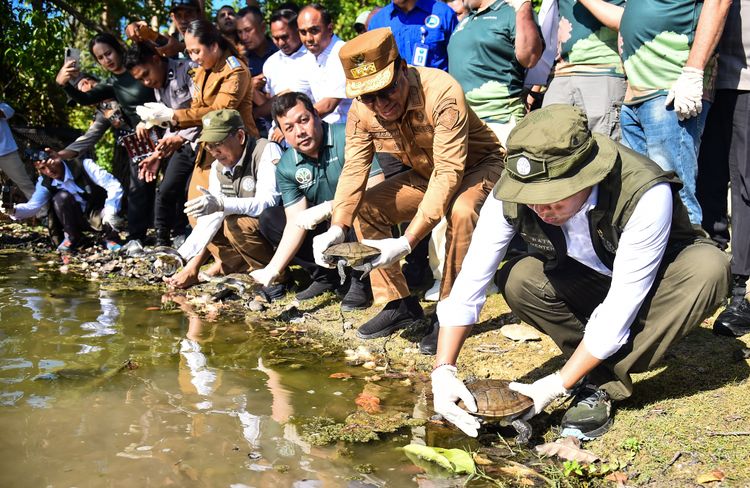 menhut-raja-antoni-pimpin-pelepasliaran-20-kura-kura-rote-satwa-endemik-terlangka-di-dunia