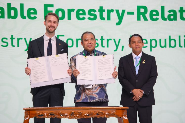 Indonesia and IETA Forge Partnership to Advance Carbon Markets and Capacity Building