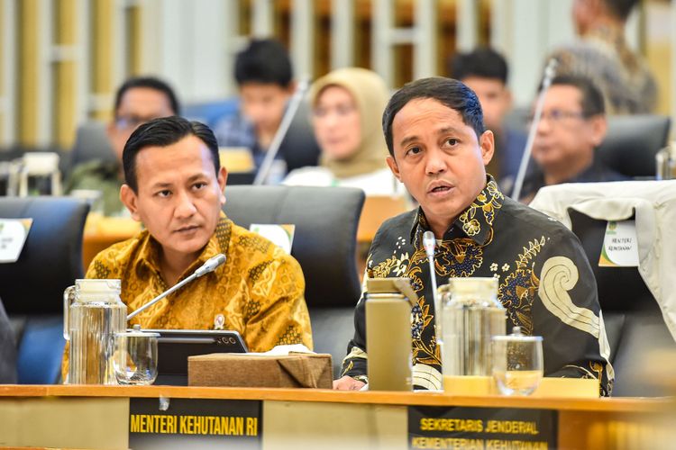 Kementerian Kehutanan Perkuat Penanganan Lahan Kritis dan Tata Kelola DAS Pascabencana Banjir di Sumatera