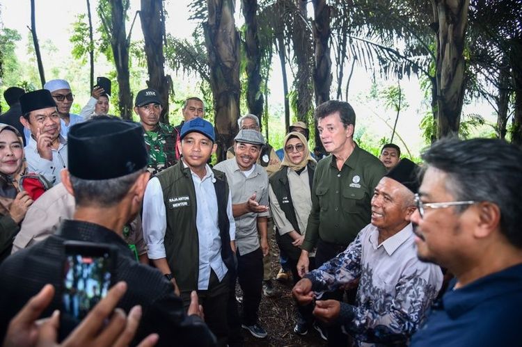 Tinjau Kebun Aren di Garut, Menhut Pastikan Penanaman-Peningkatan Produktivitas Aren