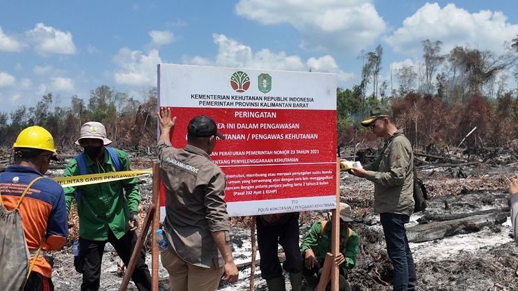 Kementerian Kehutanan Tindak Tegas Pelaku Pembakaran Hutan