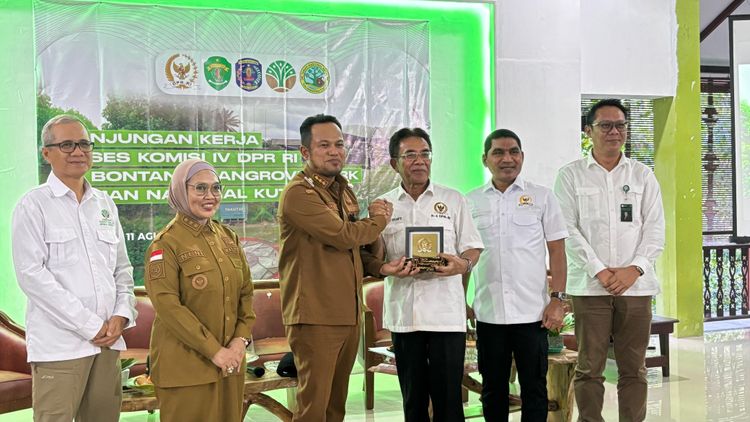 Tinjau Bontang Mangrove Park Taman Nasional Kutai, Komisi IV DPR RI Dorong Konservasi dan Pengurangan Emisi Karbon