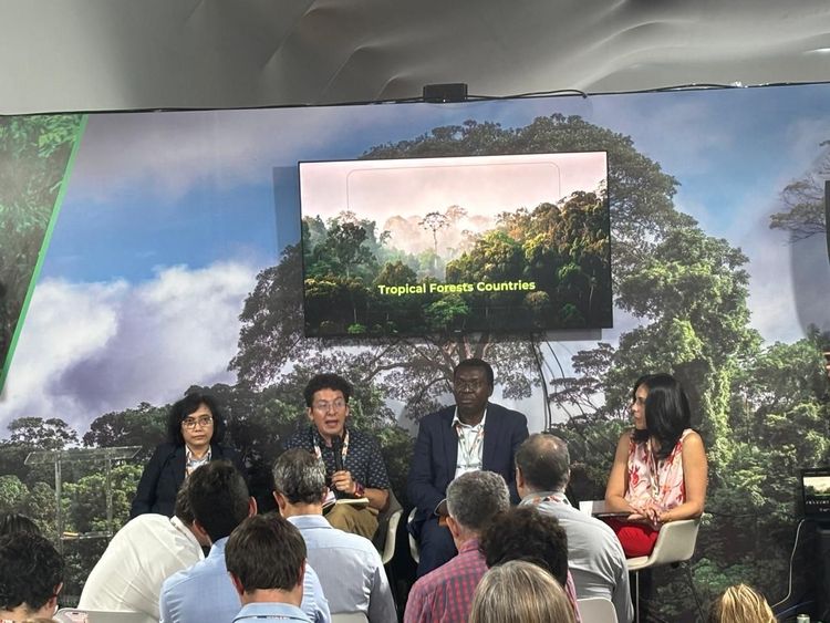 indonesia-ambil-peran-strategis-dalam-peluncuran-tfff-country-access-platform-di-cop-30