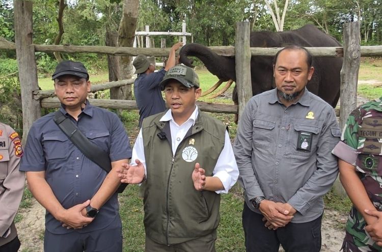 menhut-sampaikan-terima-kasih-ke-netizen-atas-dukungan-restorasi-save-tesso-nilo