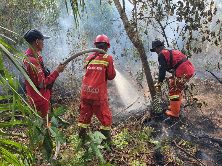 Kemenhut Kerahkan 387 Personel dan Armada Udara Atasi Karhutla di Riau