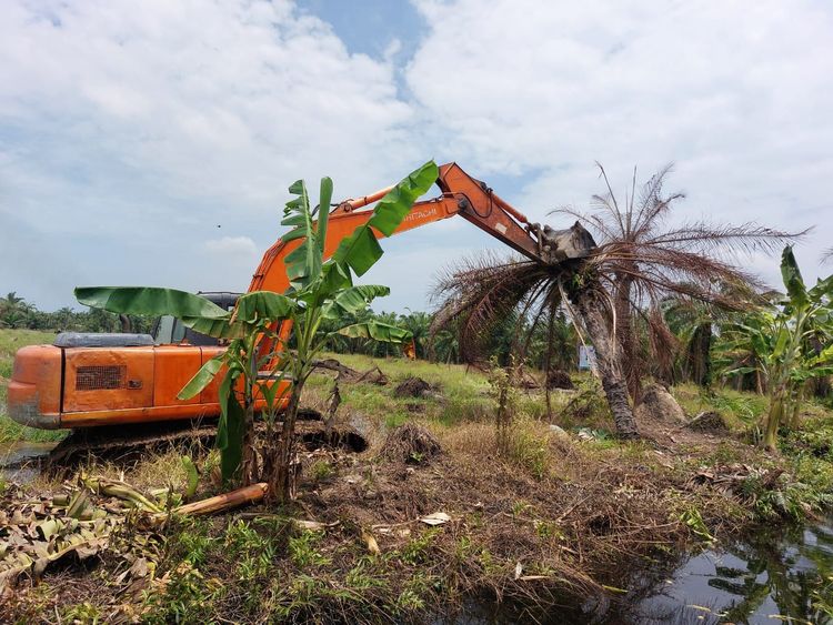 Kemenhut dan Satgas Garuda Targetkan Penertiban 102 Hektare Sawit Ilegal di SM Karang Gading