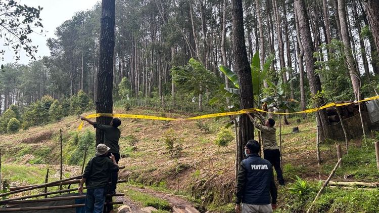 Ubah 1,3 Hektare Hutan Jadi Peternakan Ayam, Pengusaha di Bone Terancam 10 Tahun Penjara
