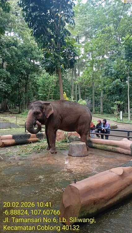 Kawal Transisi Pengelolaan Bandung Zoo, Kemenhut Pastikan Standar Kesejahteraan Satwa Menjadi Prioritas Utama