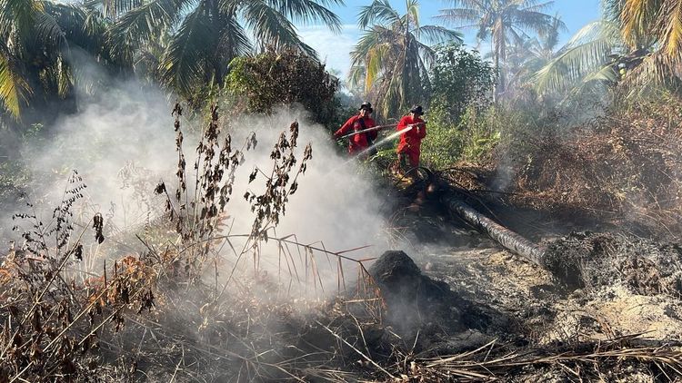Manggala Agni Kemenhut Gerak Cepat Gempur Karhutla Riau