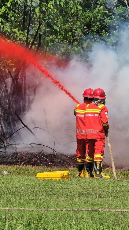 Perkuat Sinergi Bilateral dan Swasta, Kementerian Kehutanan Tingkatkan Kapasitas SDM Dalkarhutla