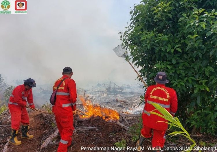  Gerak Taktis Manggala Agni Jinakkan Karhutla di Sumatera