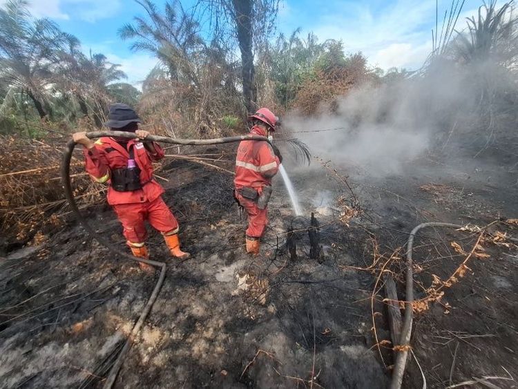 Kemenhut Perkuat Operasi Manggala Agni Tangani Karhutla di Sumatera