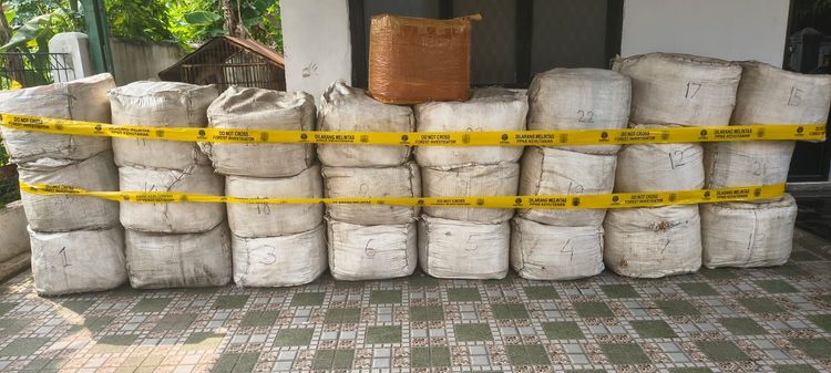 Gakkum Kemenhut Serahkan Kapten Kapal Asal Vietnam Tersangka Penyelundupan 796 Kg Sisik Trenggiling ke Kejari Cilegon
