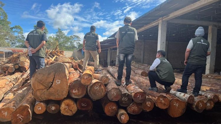 Operasi Gabungan Gakkum Kemenhut Amankan 219 Kayu Log Ilegal di Humbang Hasundutan