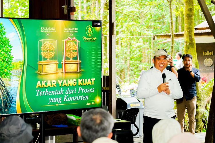 Kementerian Kehutanan Perkuat Konservasi Mangrove sebagai Pilar Ketahanan Pesisir dan Keanekaragaman Hayati