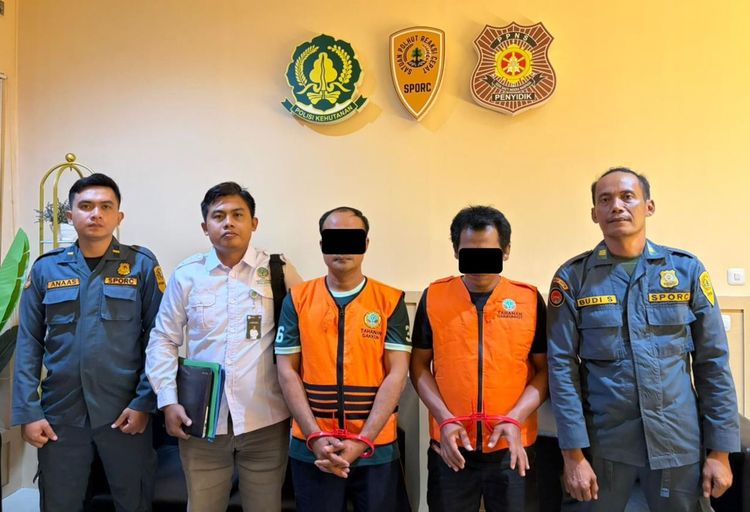 Kemenhut Hentikan Pembukaan Lahan Ilegal di Kawasan Hutan Pendidikan UGM